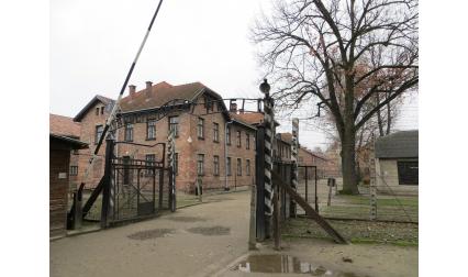 Изглед от Аушвиц (Освиенцим), Полша